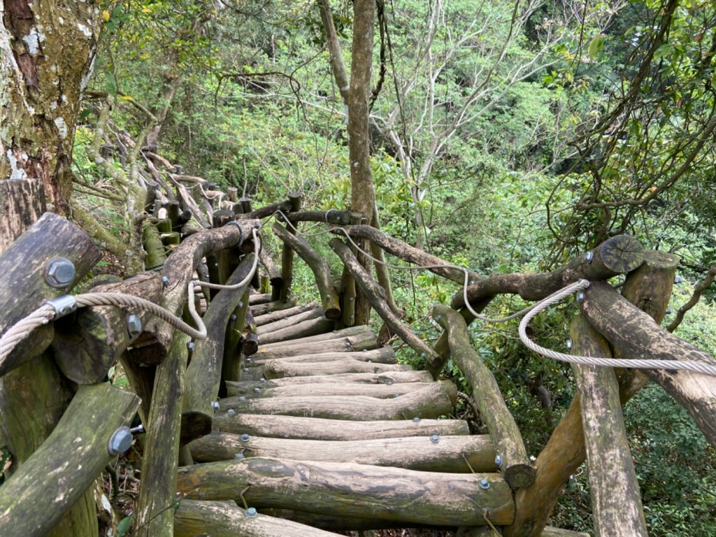 大坑2號原路來回_2130432