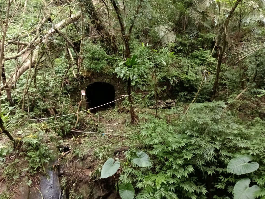 雙溪區彎穹平林山+平湖東步道+紙坑古道(億山煤礦)+紙坑山出平水聚落O型_2965874