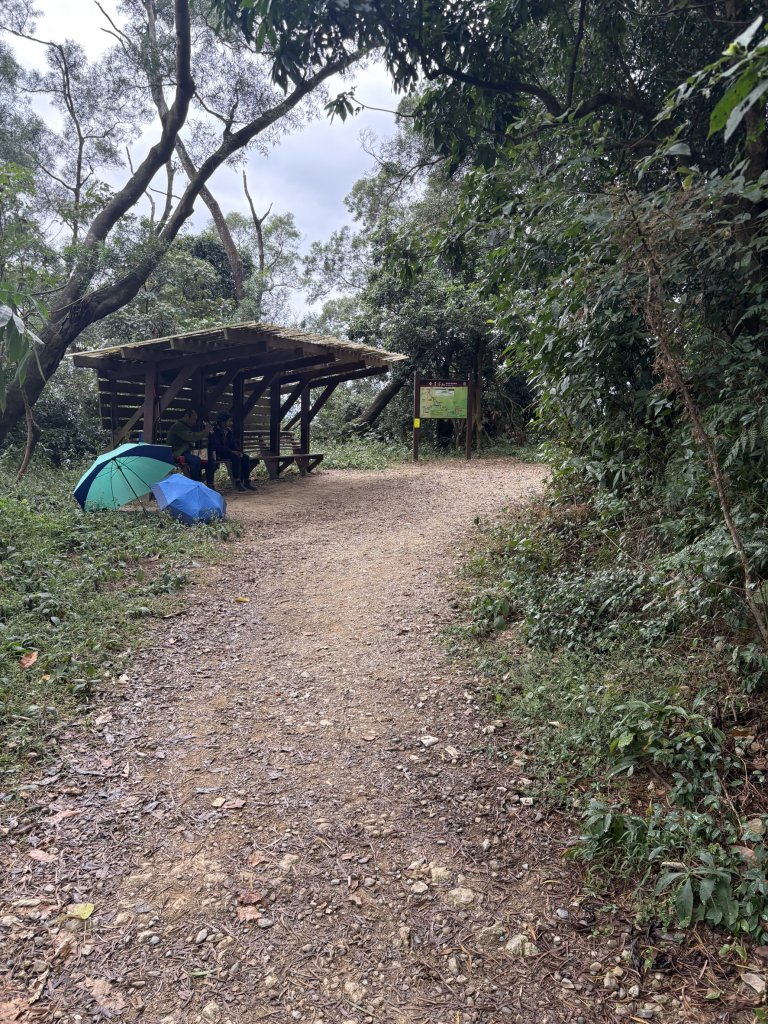 20251227尾寮山登山步道_2970490