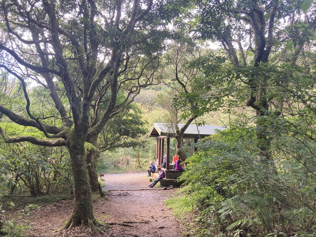 2022.11.13 小油坑山-大屯山三峰-面天坪-貴子坑（臺北大縱走第二段）_1920633