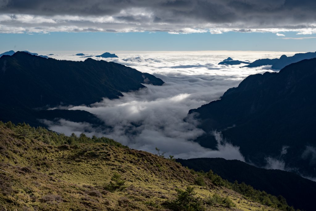 合歡北峰-圓柏的視野_466858