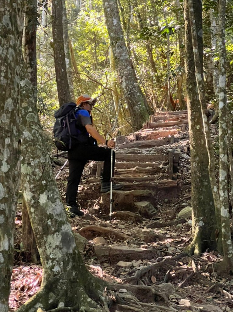 初生之犢不畏雄，初登八仙山就八唐縱走。自嘲阿瓜與阿呆 @@(快樂腳攀登谷關七雄行)_1861264