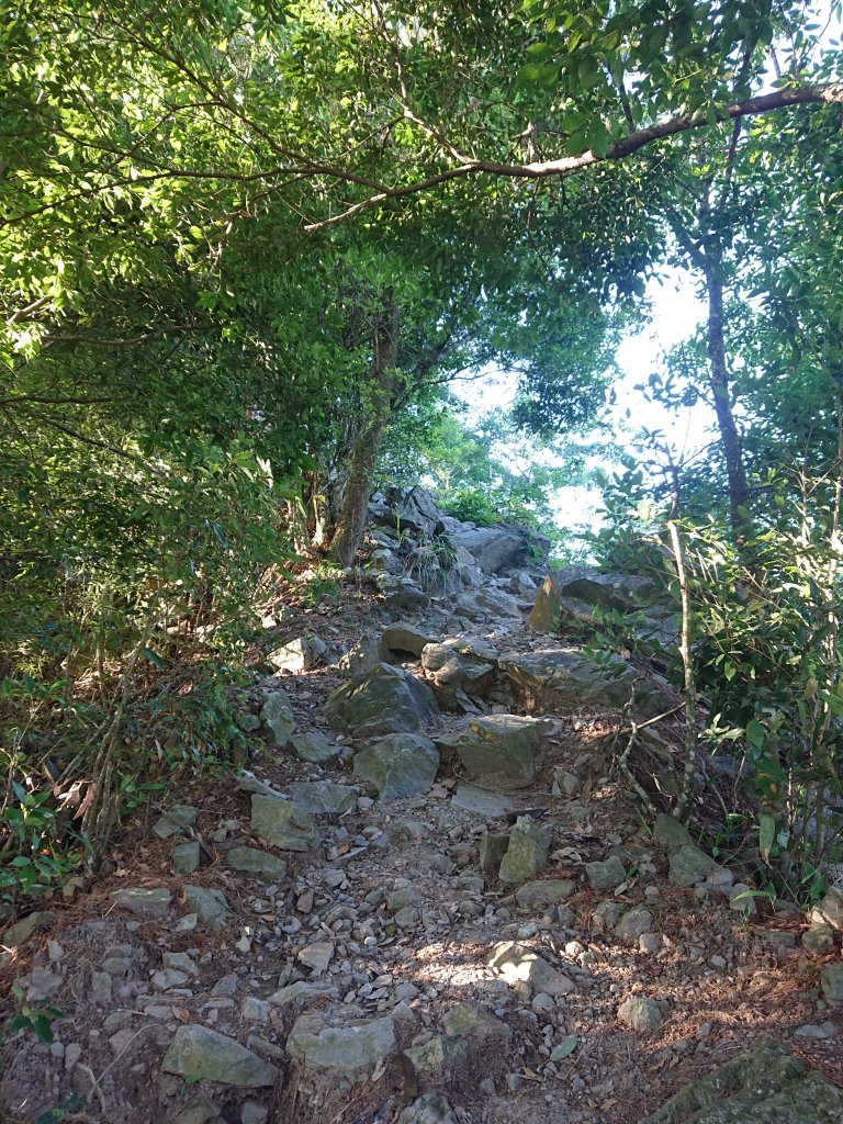 唐麻丹山_2790141