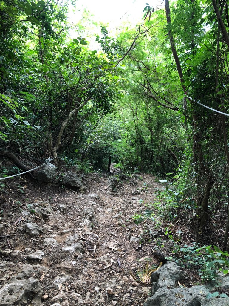 2020.10.01南壽山_1119716