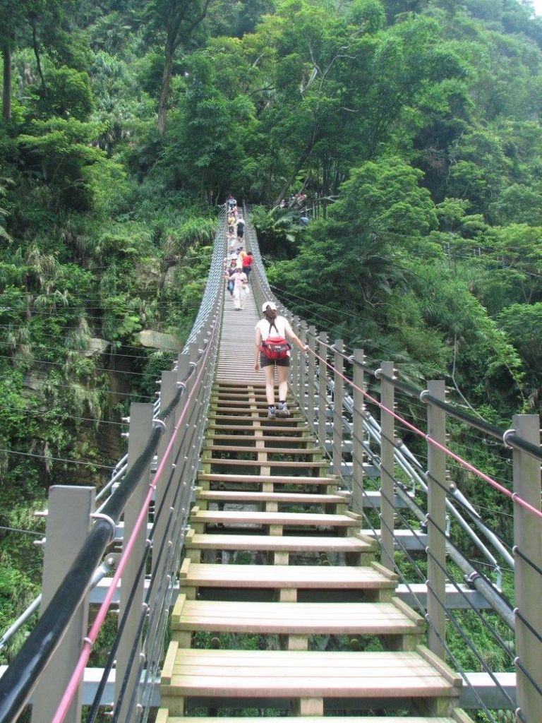 竹山天梯與太極峽谷(順遊八卦茶園)_124406