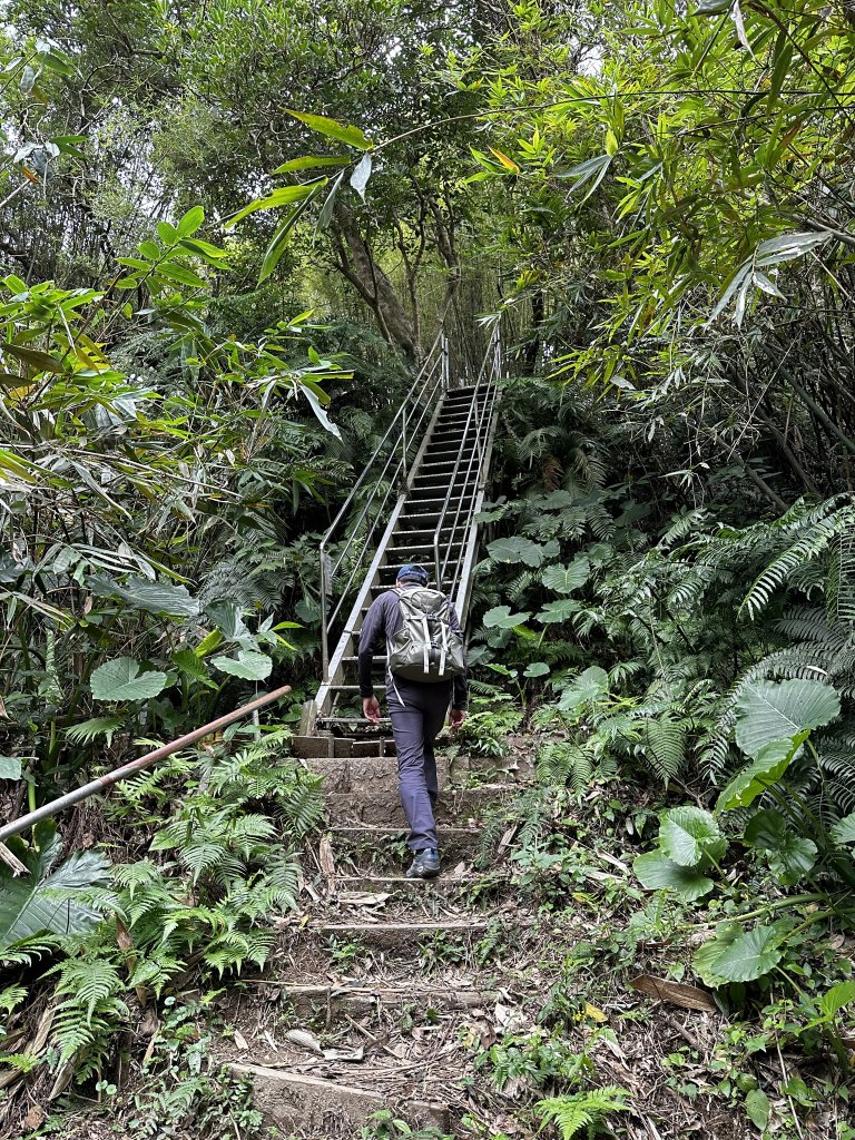 醉翁之意不在酒的【五酒桶山步道】輕鬆走～_1900640