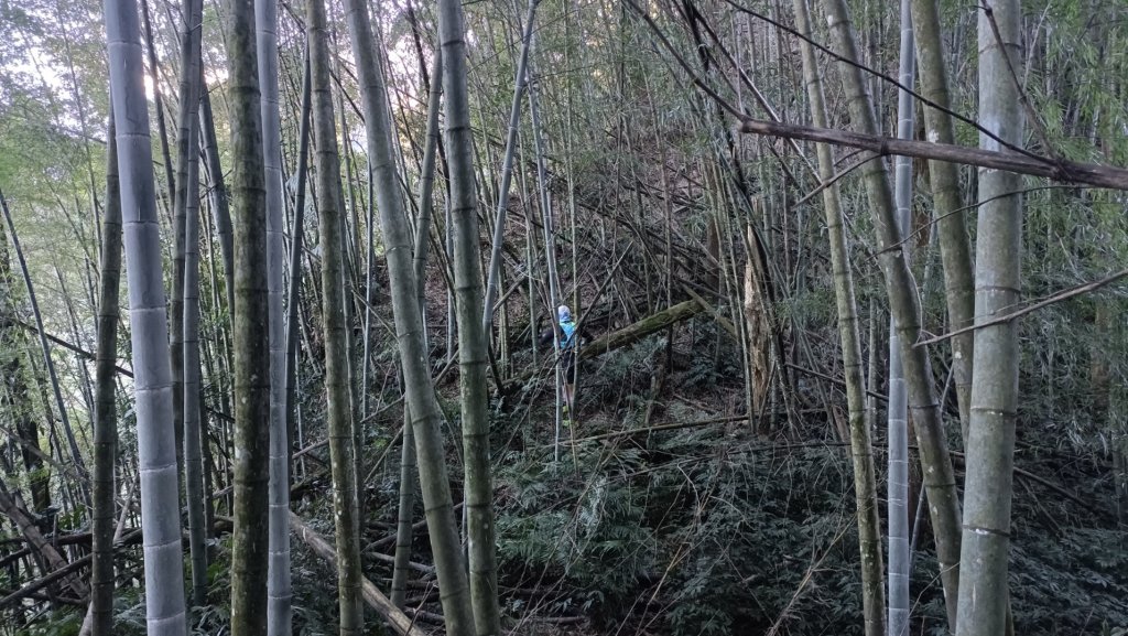 崩棚山探勘歷險記2023年1月13日_1992495