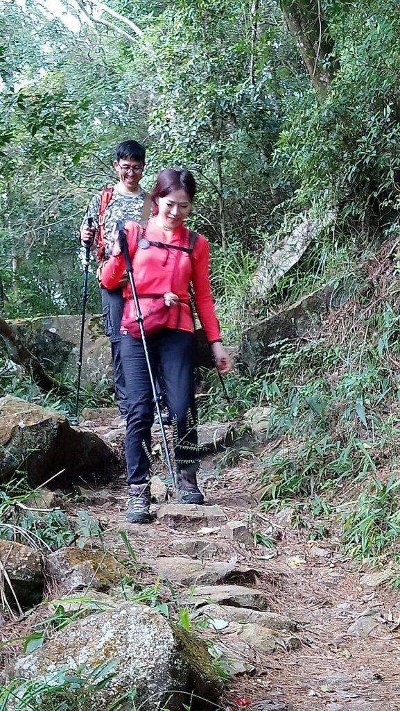德芙蘭步道上東卯山_488397
