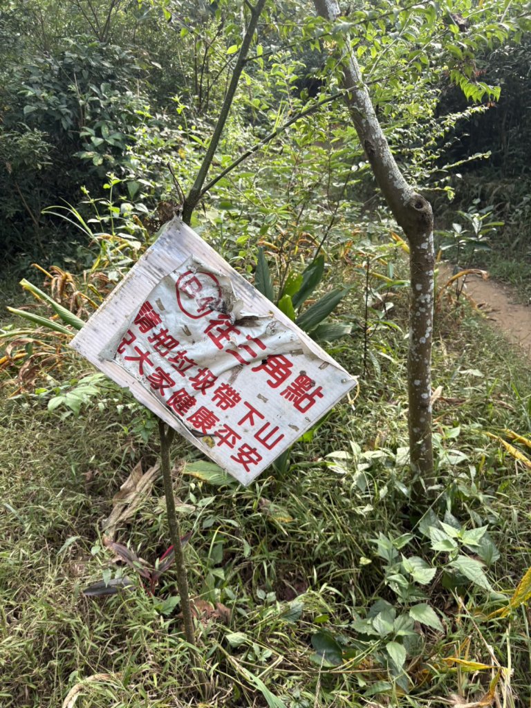 20251109棚集山步道_2935263