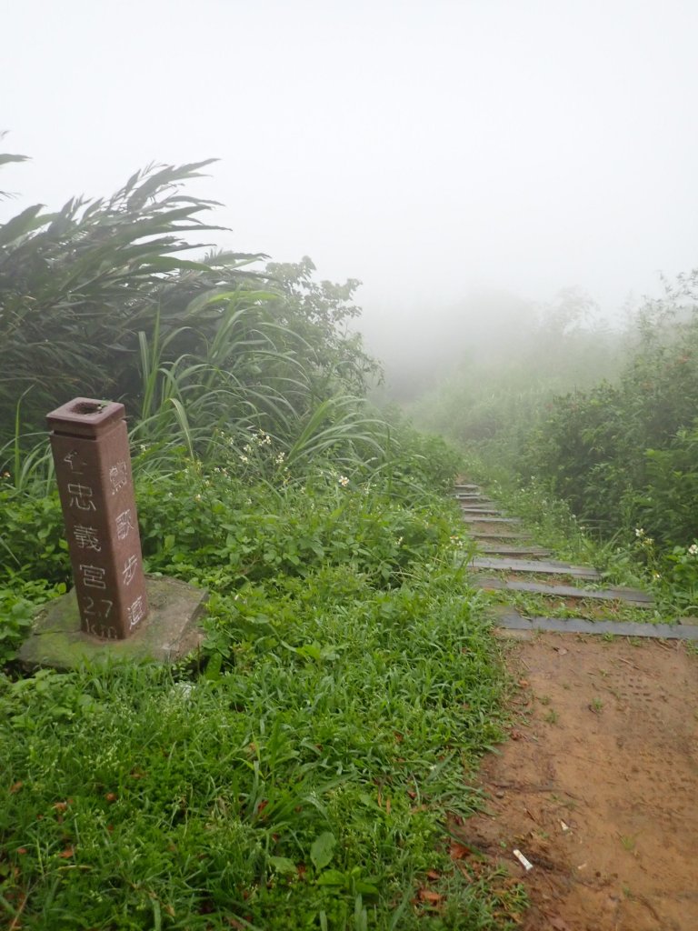 小百岳#15_ 大棟山縱走_903952