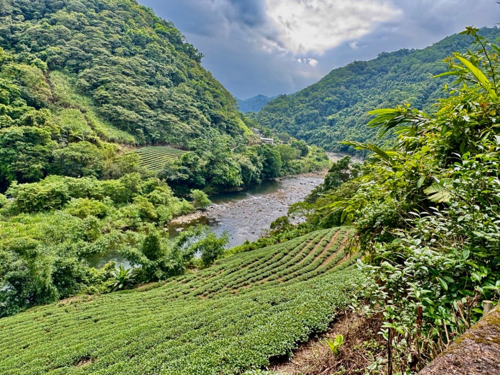 大舌湖山-漁光國小-茶園-虎寮潭吊橋_2773022