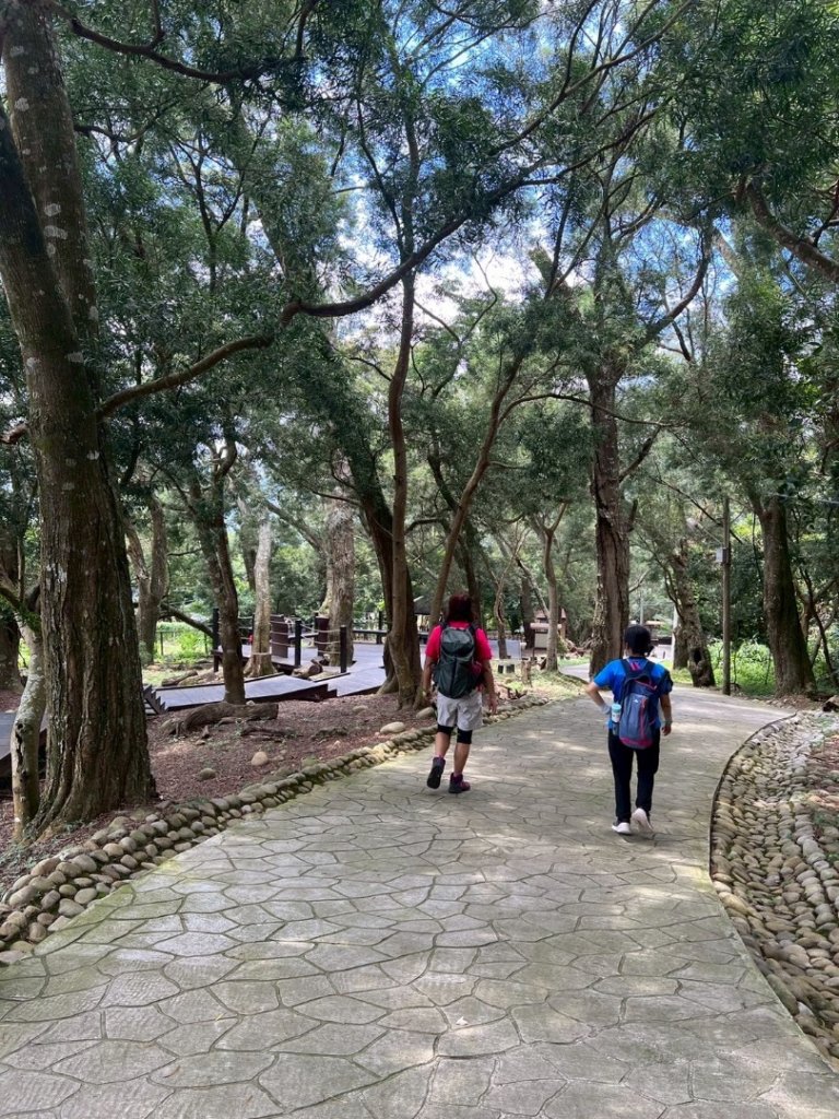 大坑1號和2號步道_2826376