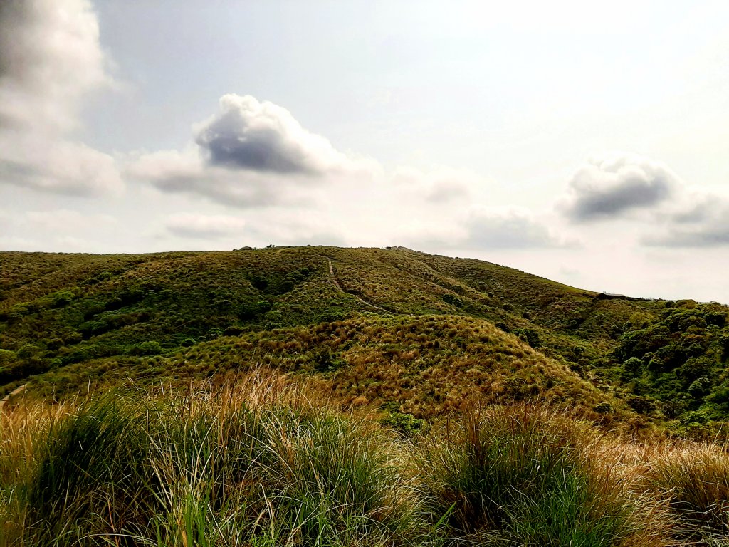 走遍陽明山：擎天崗系｜景遠心自闊，潺潺溪水聲洗去一身憂_2113928