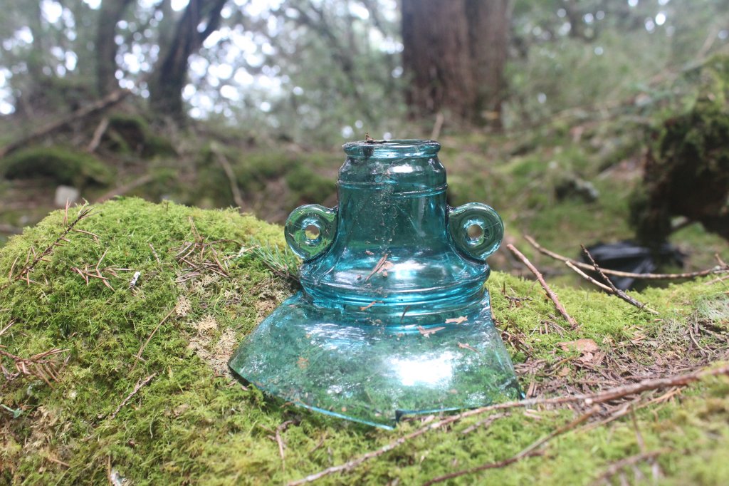 20231106高雄塔關山_2354113