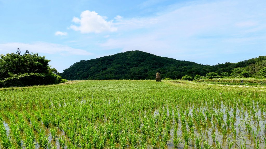 北海岸。良率_2783373