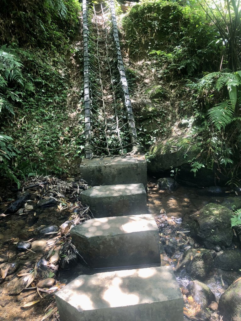 夏天就是要去涼爽的步道健行>>望古瀑布、嶺腳寮山(瀑布)步道_1760573
