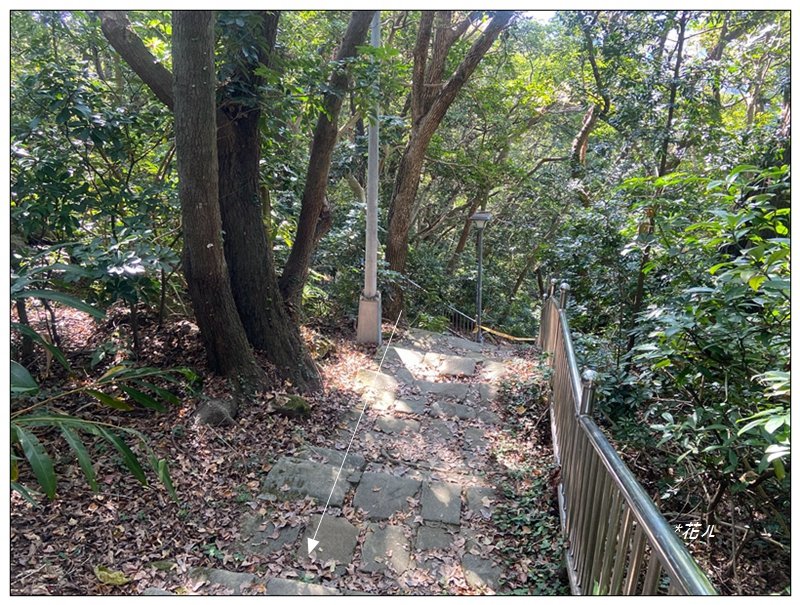 烏尖連峰縱走18基石 ( 唭哩岸山、軍艦岩、丹鳳山 )_2980893