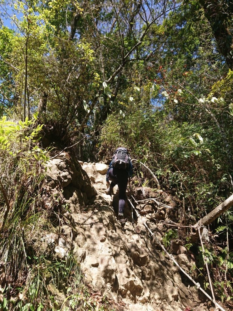 水漾森林、鹿屈山O走_2461735