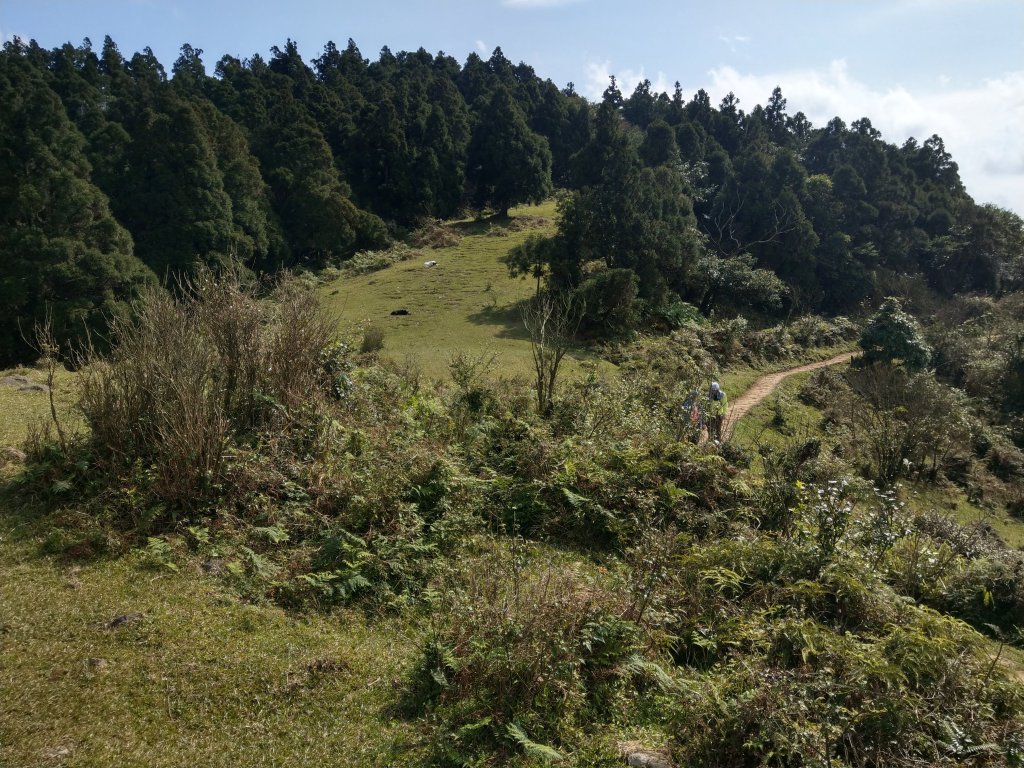 冷水坑-擎天崗環狀步道(竹嵩山)-風櫃嘴_821104
