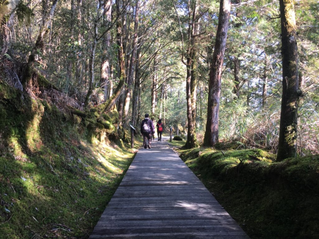 翠峰湖環山步道_884460