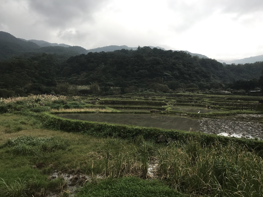 2017/01/08 草嶺古道封面圖