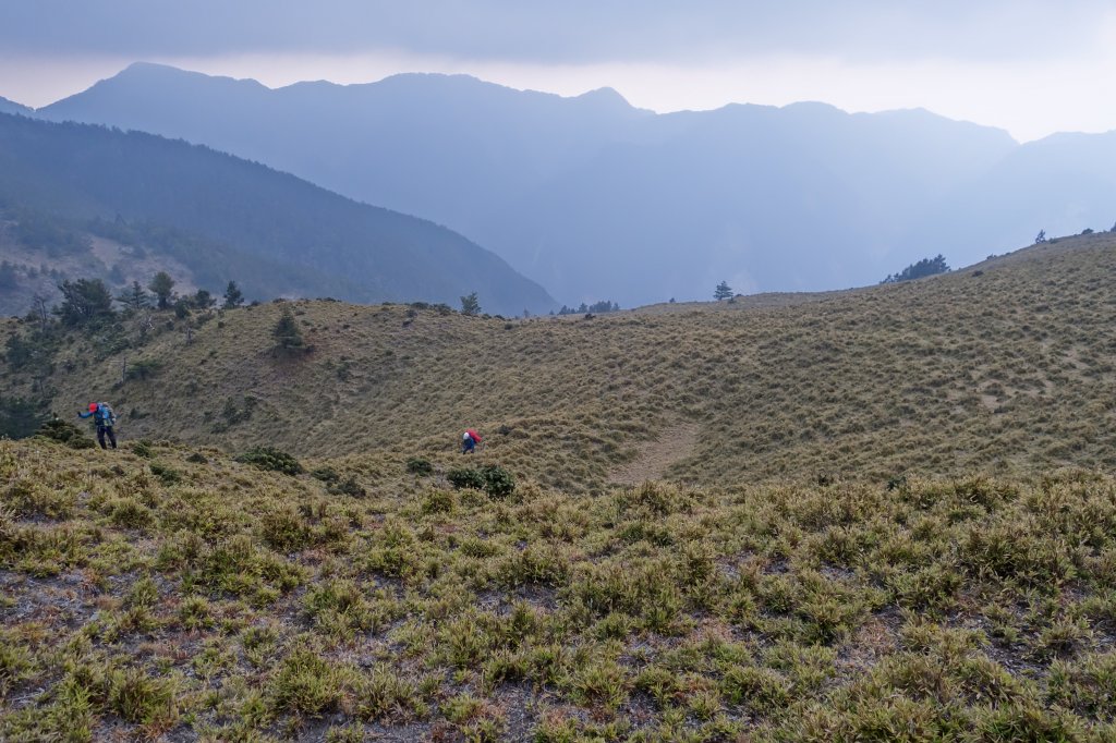 亢龍有悔[南三段]_904401