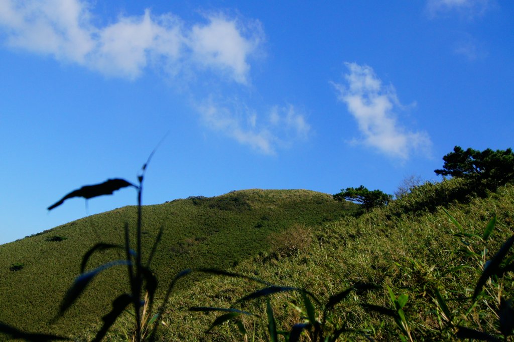小觀音主峰O行走_445889
