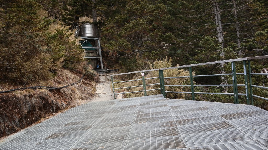 玉山主峰登山健行趣(百岳01號)_2041452