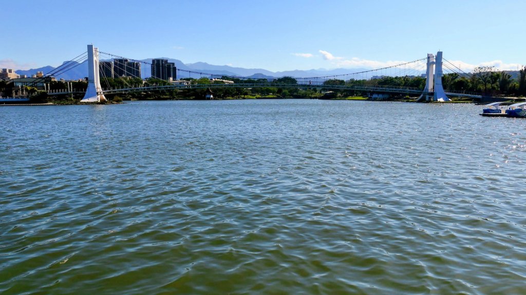 落羽松大道,龍潭大池_2976190