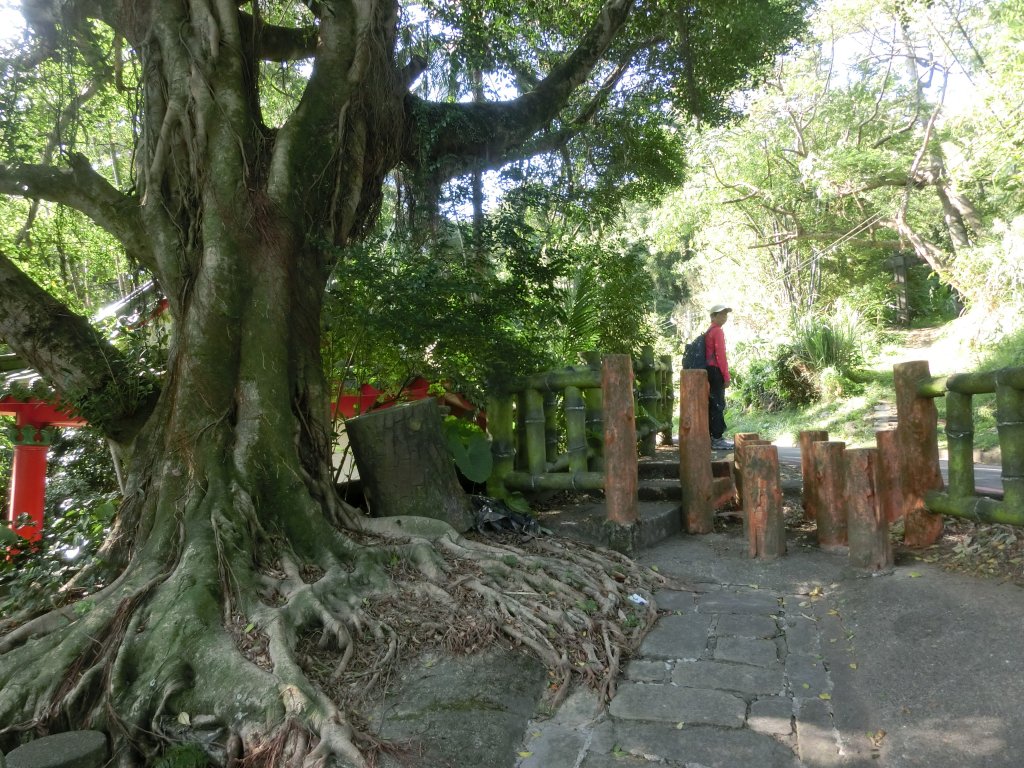 大溪訪古．花彩節_733343