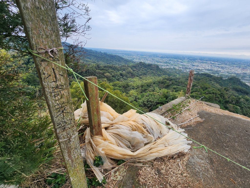 20250223田中大小劍與橫山封面圖