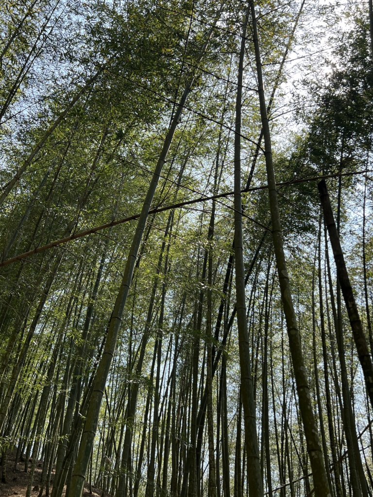 小百岳-石壁山_2742531