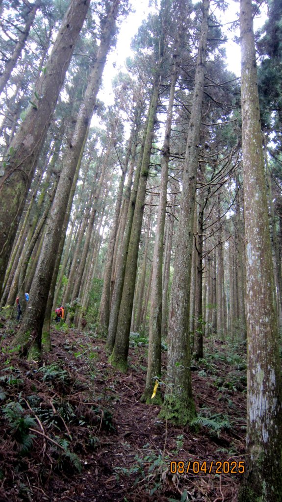 【油羅山/露營】 仙境舒活健走，雲端徜徉野趣！_2887914