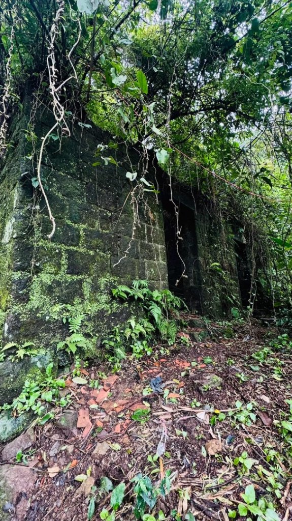 楓樹湖古道、天元宮封面圖