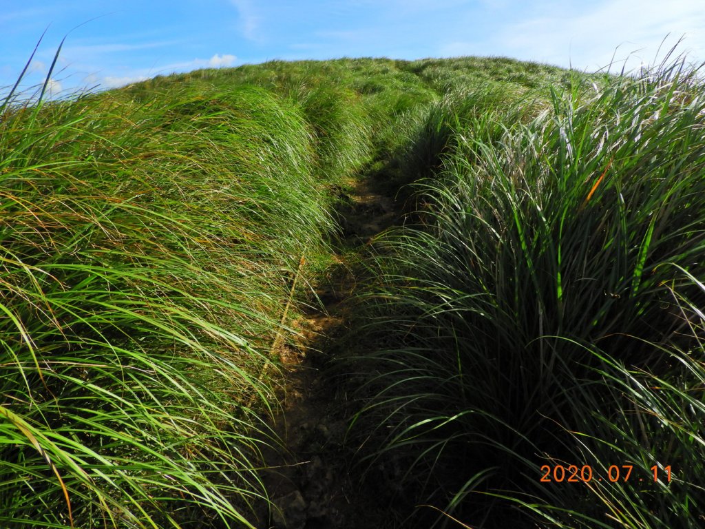臺北 士林 磺嘴山_1029158