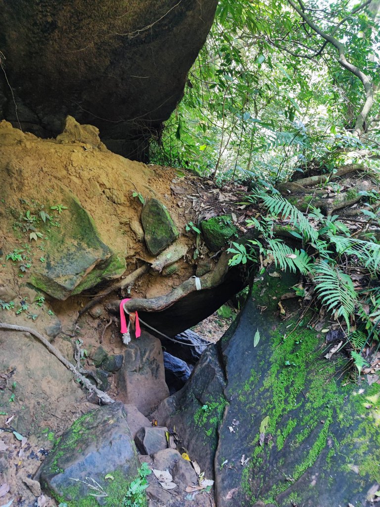 石牛山-小百岳#25-新竹縣關西區_2236773