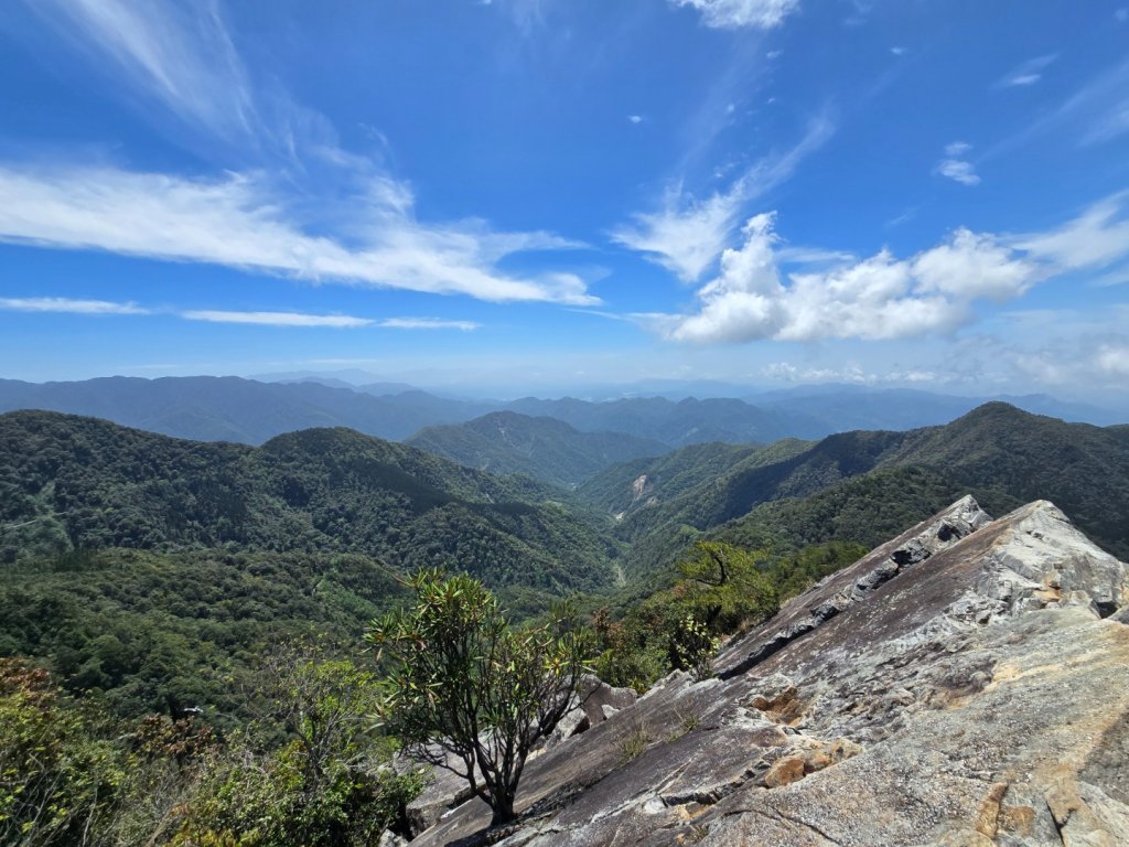 鳶嘴山杜鵑盛開_2770336