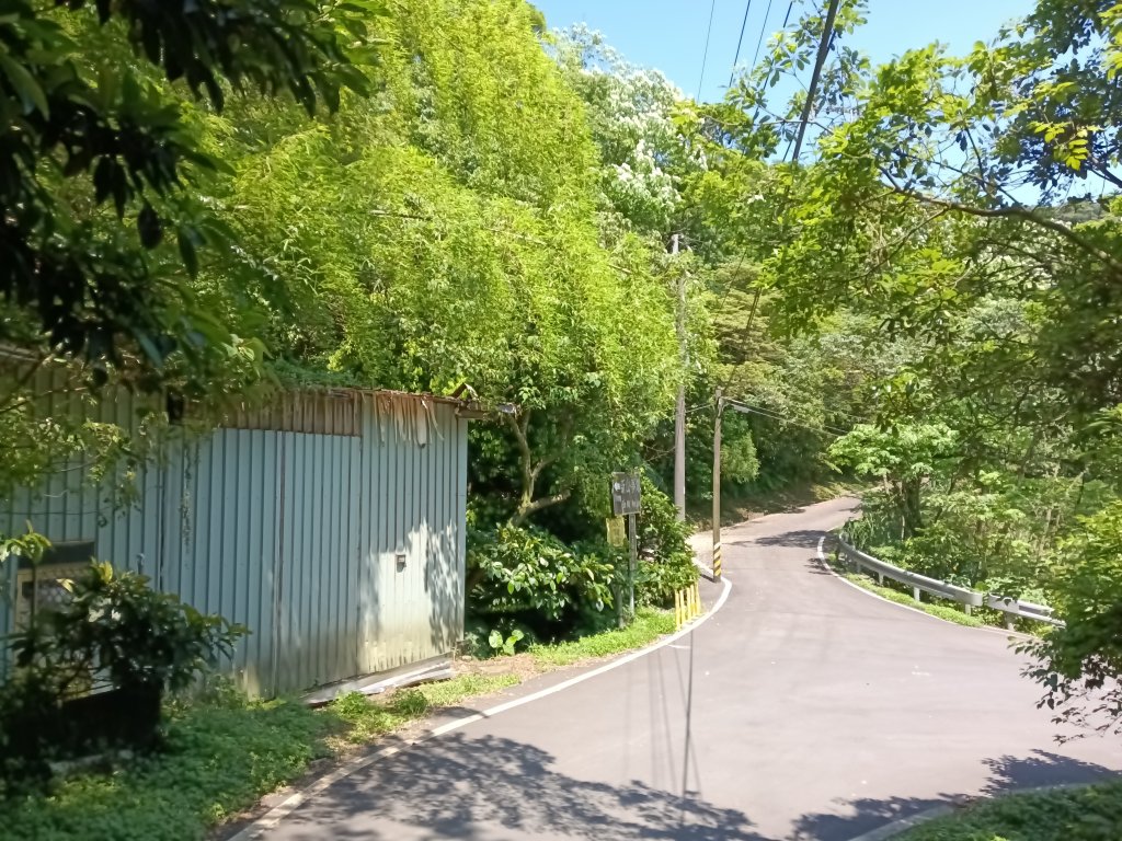 汐止區夢湖秘境桐花夢幻_2773571