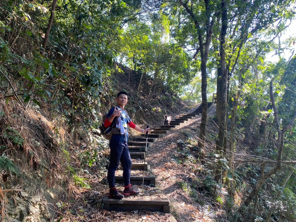 風櫃斗.牛稠坑.二坪山古道【遙知不是雪，為有暗香來】_2703865