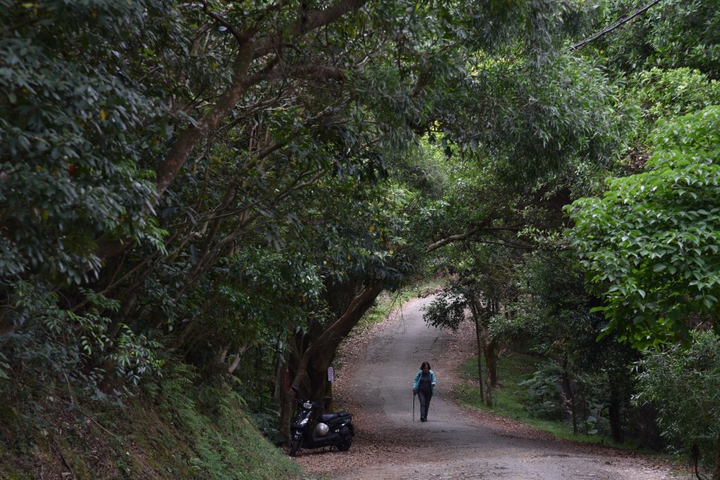 樹林大棟山／小百岳015_1408522