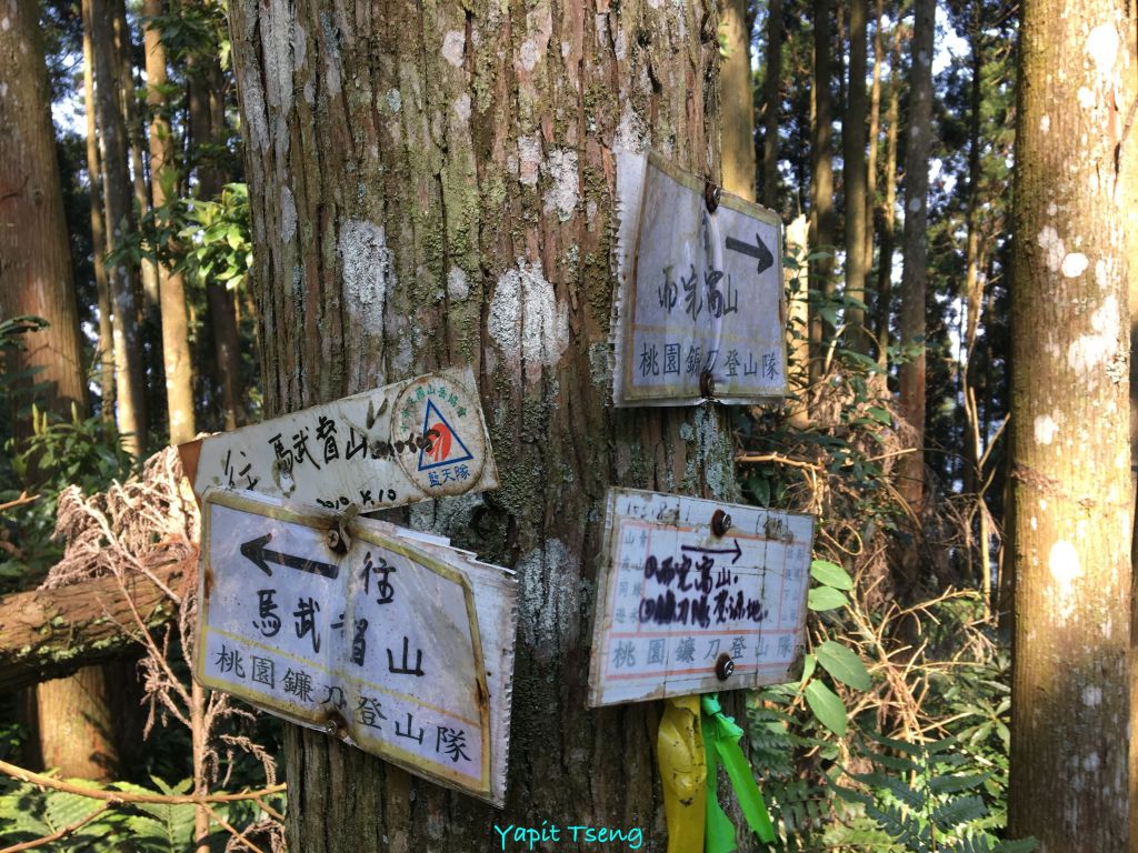 馬武督山 蓮包山 外鳥嘴山 那是山_289082