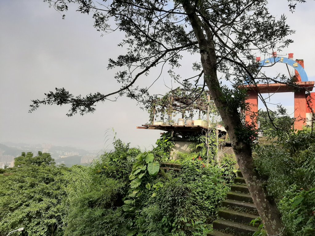 臺北大縱走7：麟光站至飛龍步道_746830