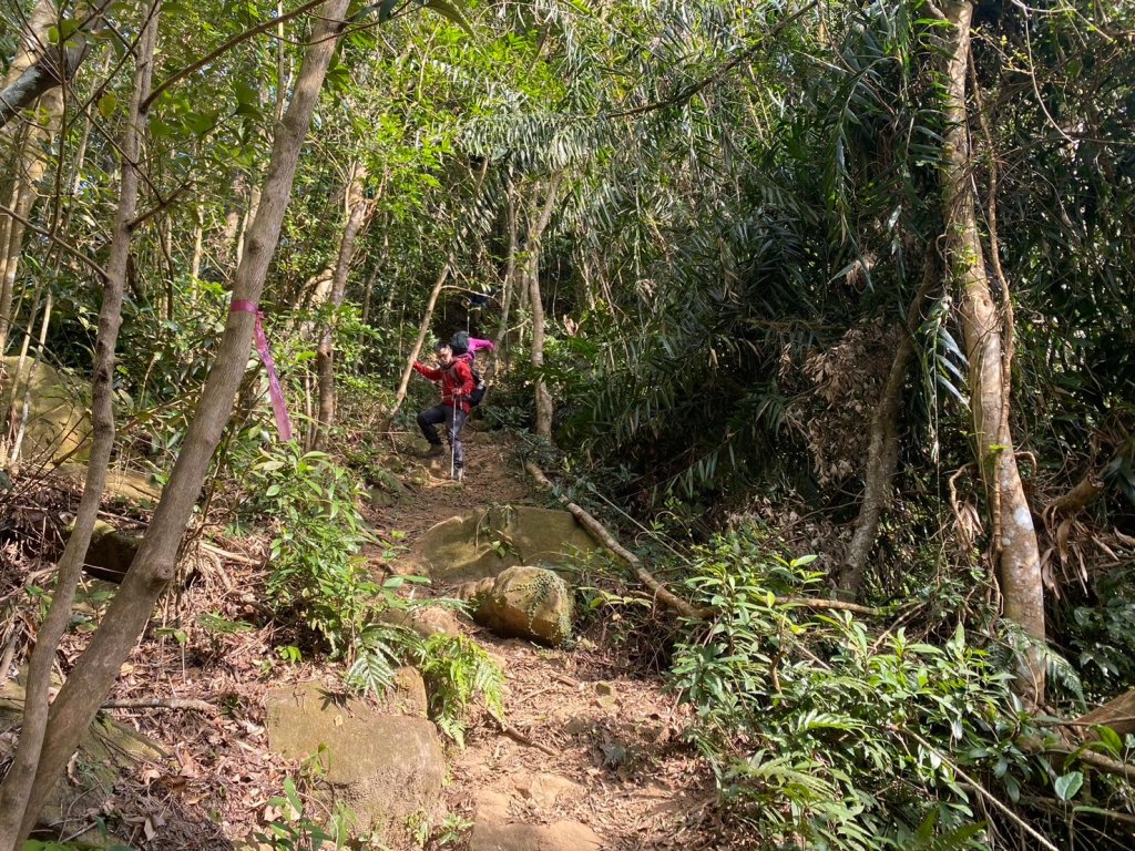 金童山.汶水山.玉女山【冬天的郊山縱走=高山等級的享受】_2680910