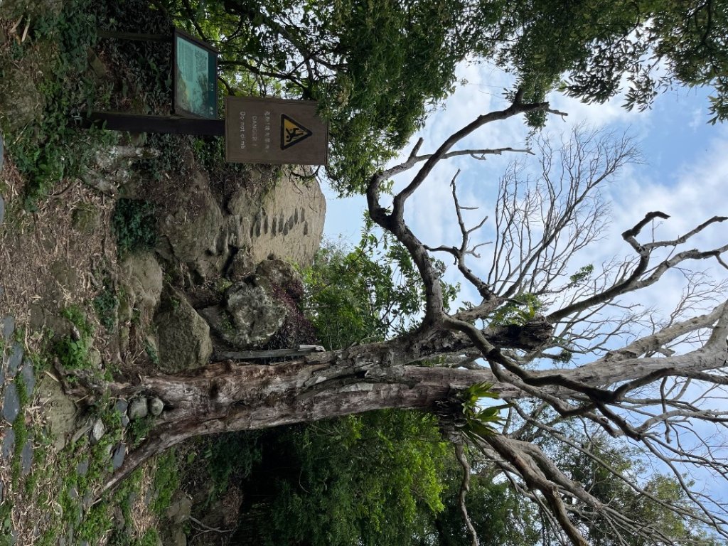 20230530_大棟山+崁頭山（台南小百岳）_2762495