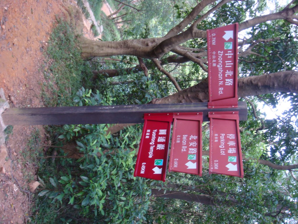 劍潭山親山步道_1792814