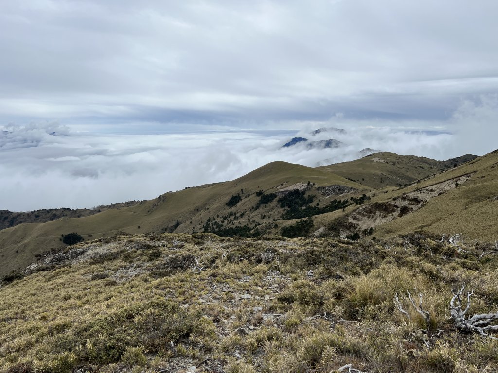 【南二段】_1994784