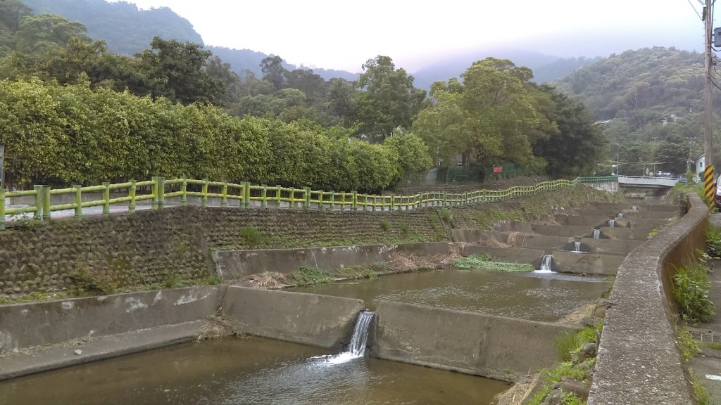 【臺北大縱走1】忠義山小坪頂下青礐貴子坑_914302