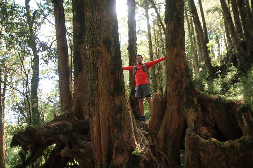 阿里山的櫻花前戲_1635071