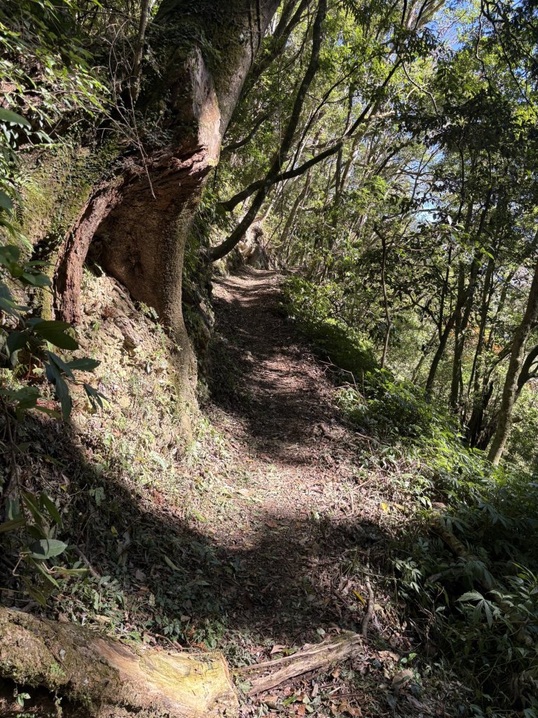 20251221嘉南雲峰、石壁山登山步道_2968177