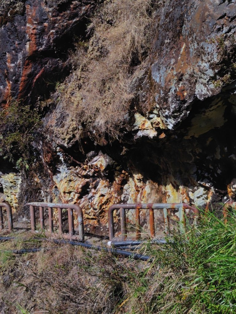 東埔走八通關古道訪龍貓公車繞對關山O型_2962908